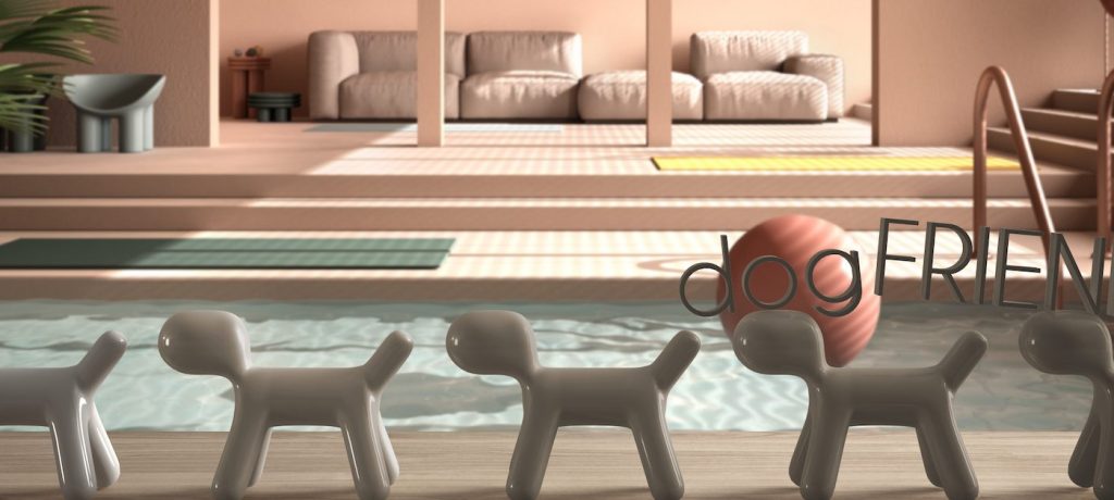Pet services provider